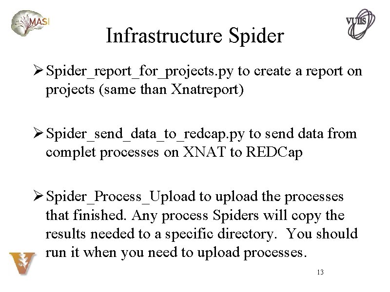 Infrastructure Spider Ø Spider_report_for_projects. py to create a report on projects (same than Xnatreport)