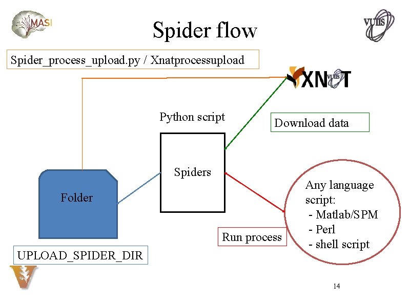 Spider flow Spider_process_upload. py / Xnatprocessupload Python script Download data Spiders Folder Run process