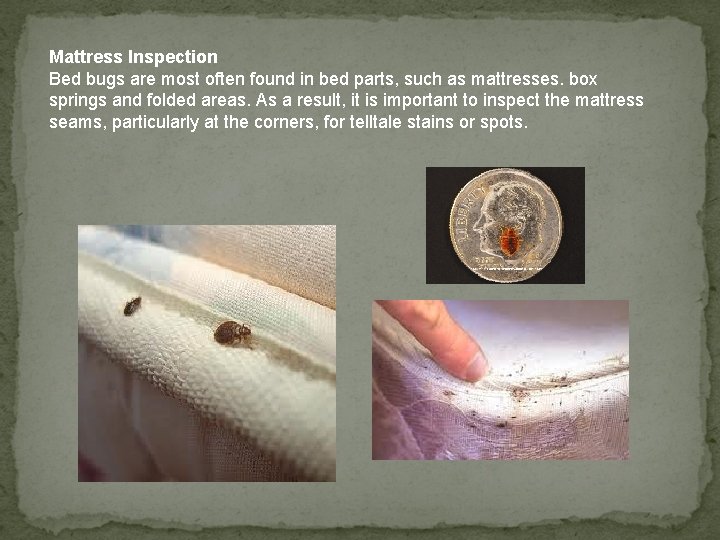 Mattress Inspection Bed bugs are most often found in bed parts, such as mattresses.