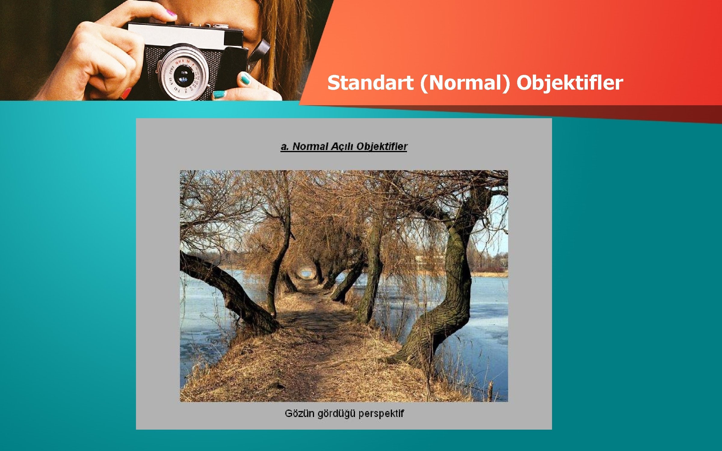 Standart (Normal) Objektifler 