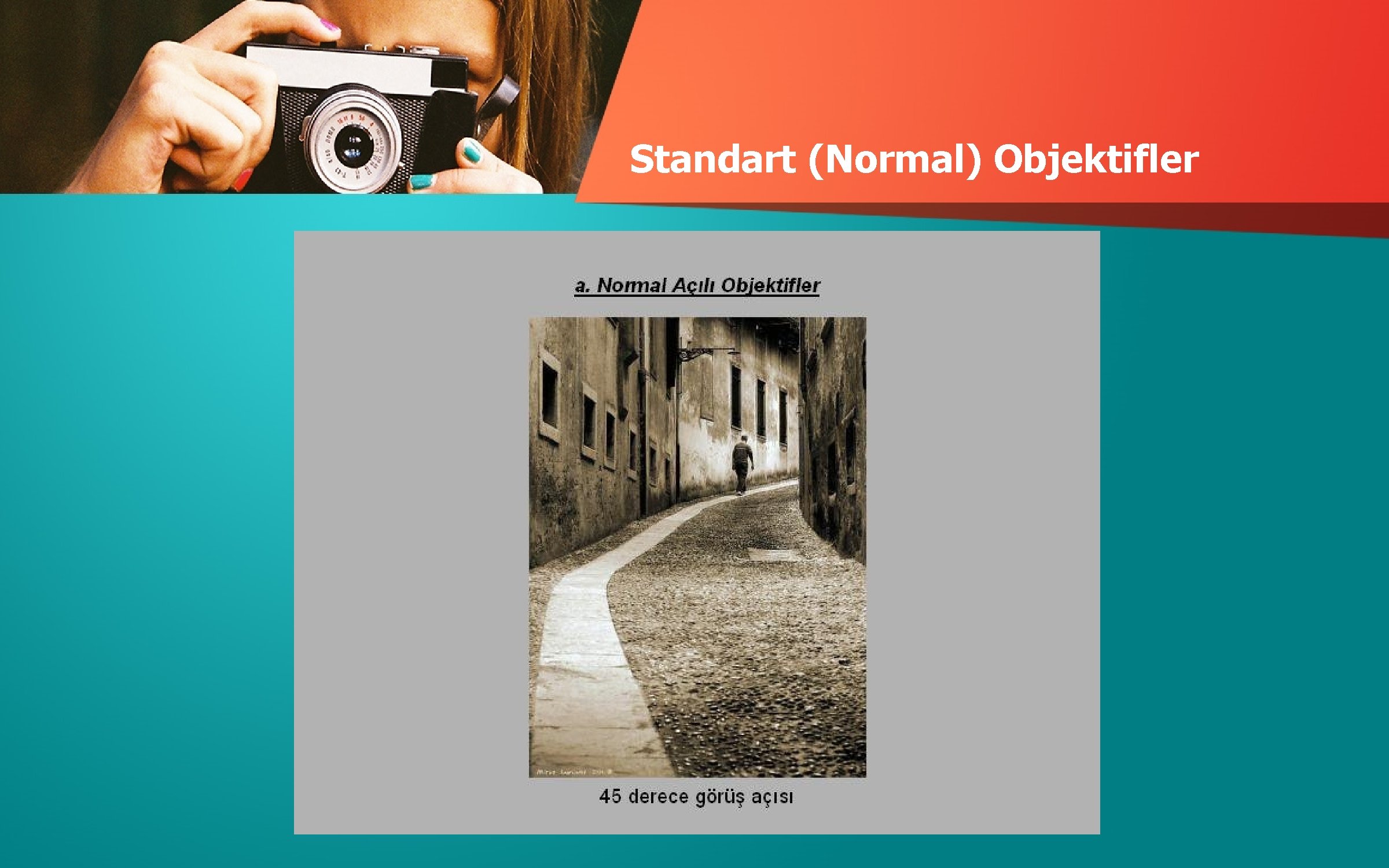 Standart (Normal) Objektifler 