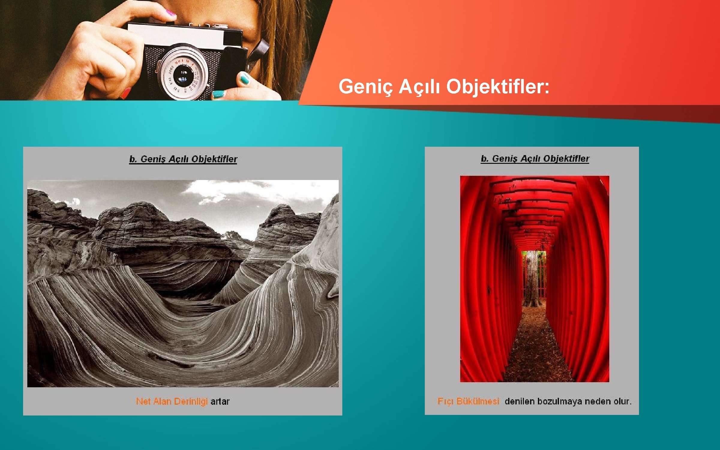 Geniç Açılı Objektifler: 