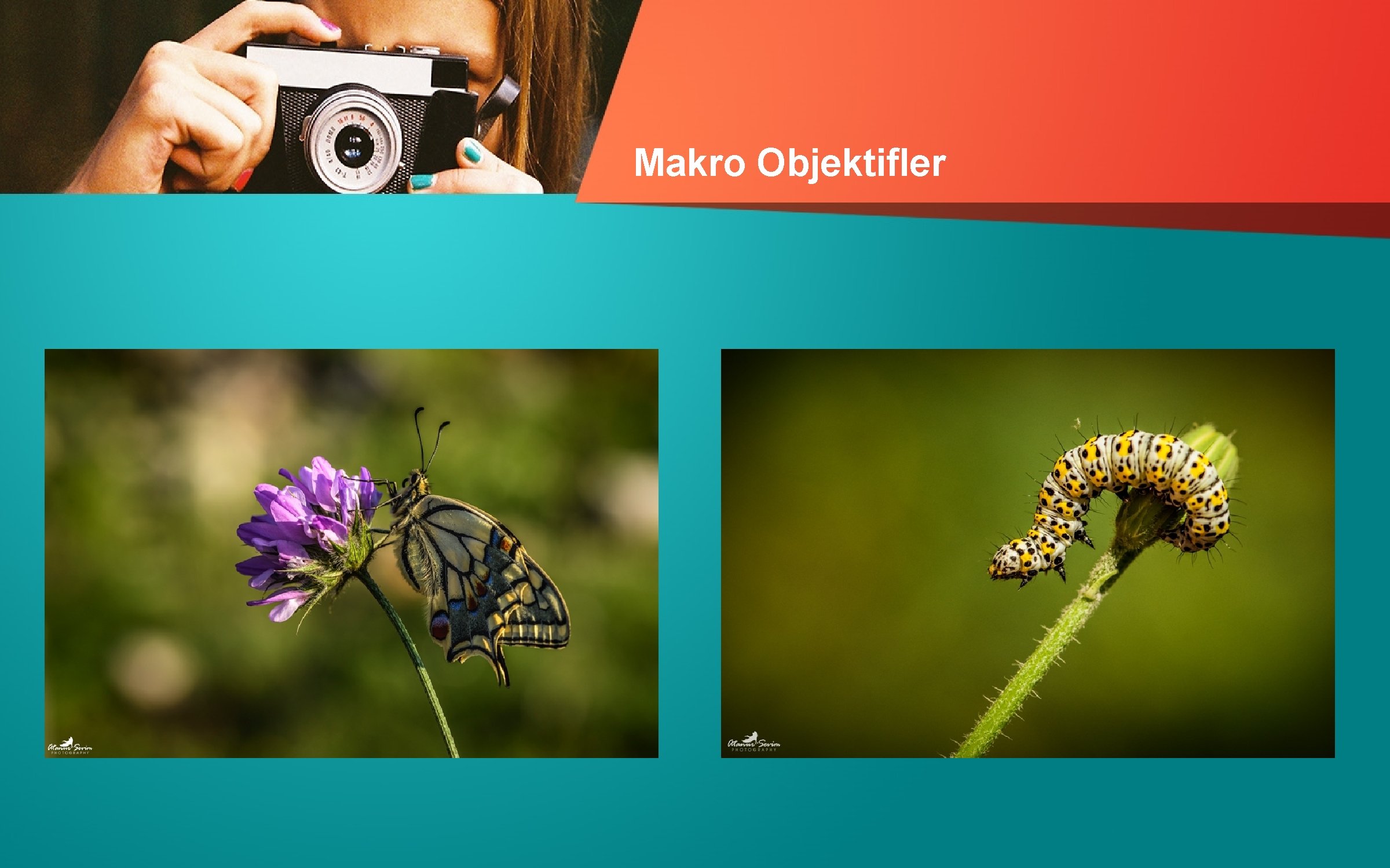 Makro Objektifler 