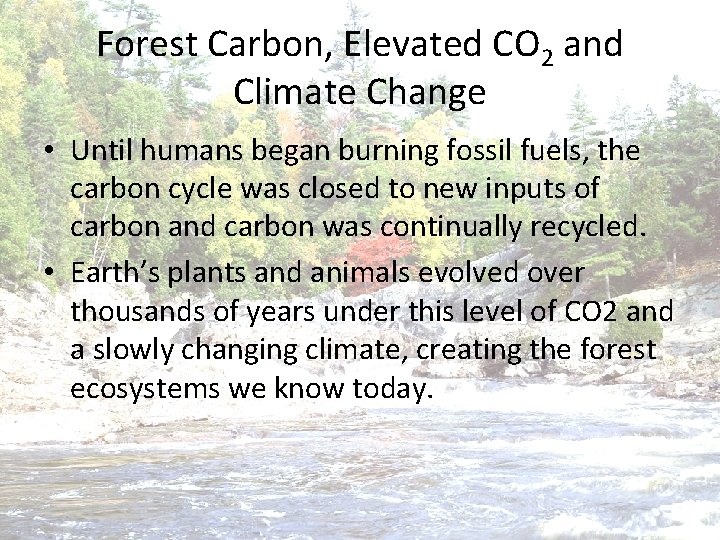 Forest Carbon, Elevated CO 2 and Climate Change • Until humans began burning fossil