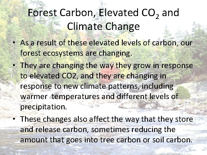 Forest Carbon, Elevated CO 2 and Climate Change • As a result of these