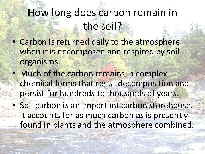How long does carbon remain in the soil? • Carbon is returned daily to