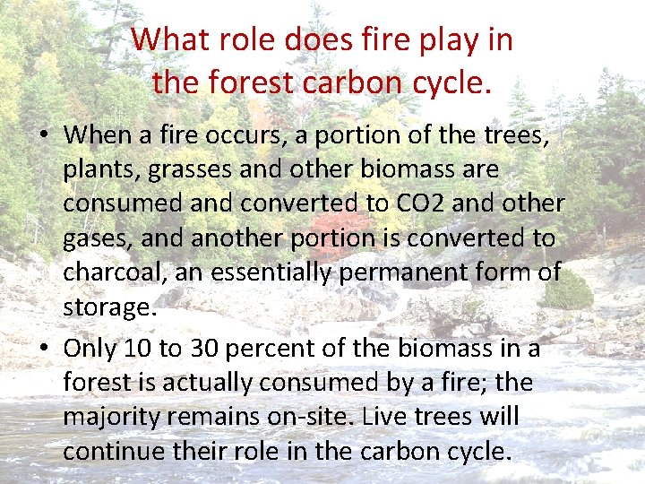 What role does fire play in the forest carbon cycle. • When a fire