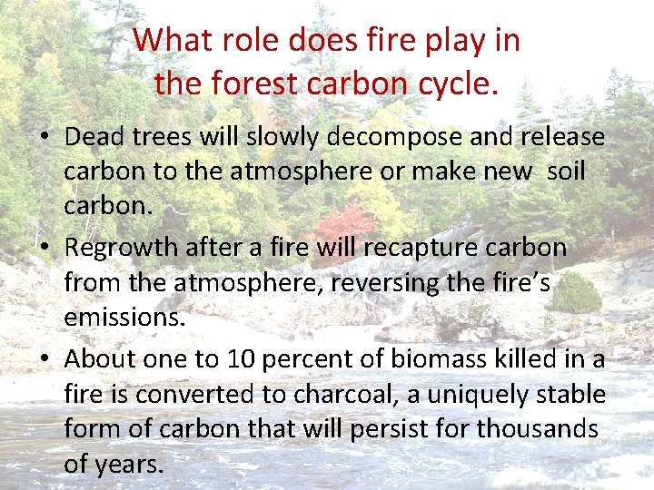 What role does fire play in the forest carbon cycle. • Dead trees will