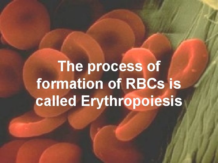 The process of formation of RBCs is called Erythropoiesis 