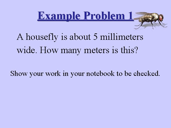 Example Problem 1 A housefly is about 5 millimeters wide. How many meters is