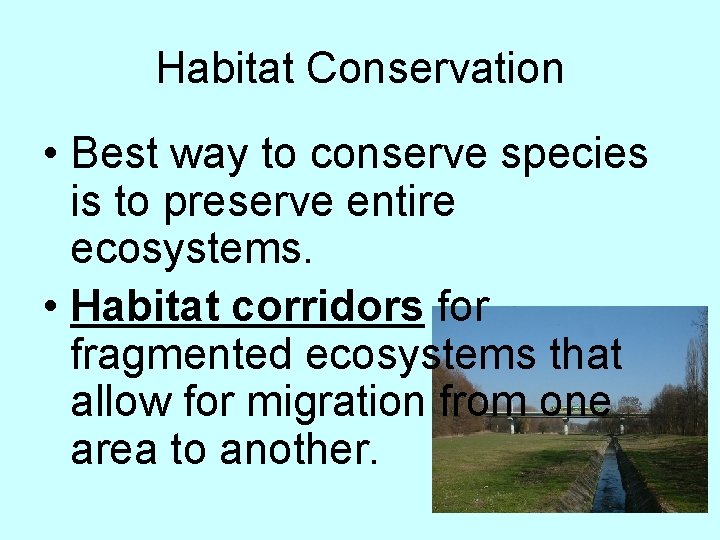 Habitat Conservation • Best way to conserve species is to preserve entire ecosystems. •