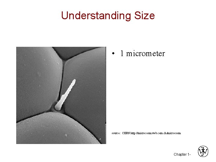 Understanding Size • 1 micrometer source: CERN http: //microcosm. web. cern. ch/microcosm Chapter 1