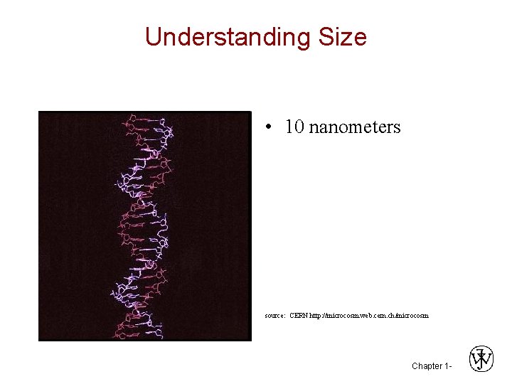 Understanding Size • 10 nanometers source: CERN http: //microcosm. web. cern. ch/microcosm Chapter 1