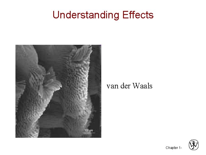 Understanding Effects van der Waals Chapter 1 - 