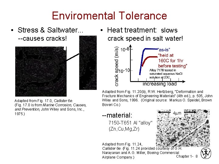 Enviromental Tolerance • Stress & Saltwater. . . --causes cracks! Adapted from Fig. 17.