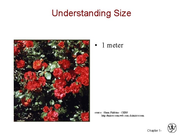 Understanding Size • 1 meter source: Glenn Fishbine - CERN http: //microcosm. web. cern.