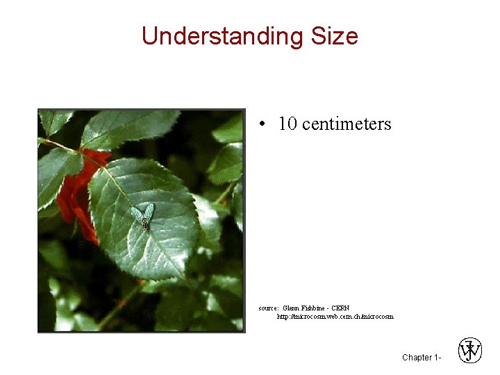 Understanding Size • 10 centimeters source: Glenn Fishbine - CERN http: //microcosm. web. cern.
