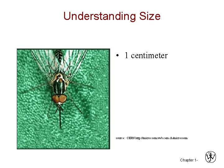 Understanding Size • 1 centimeter source: CERN http: //microcosm. web. cern. ch/microcosm Chapter 1