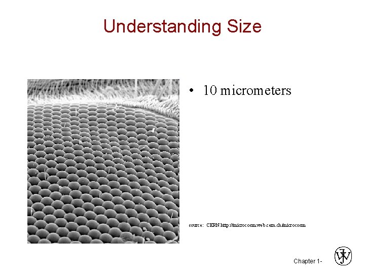Understanding Size • 10 micrometers source: CERN http: //microcosm. web. cern. ch/microcosm Chapter 1