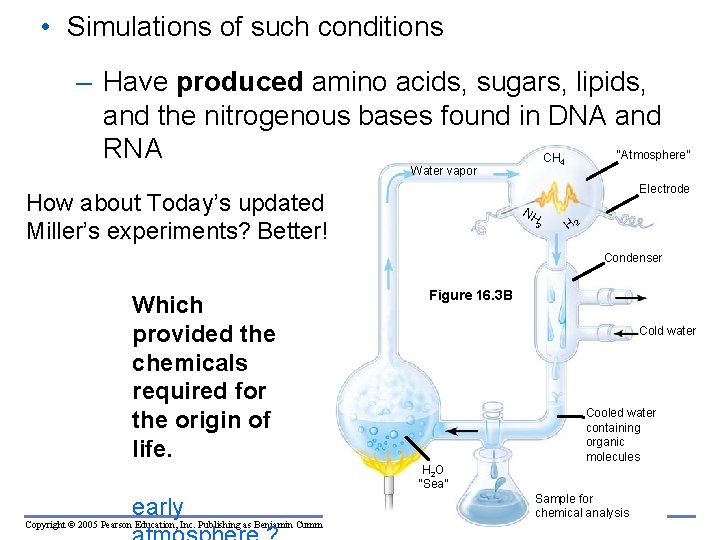  • Simulations of such conditions – Have produced amino acids, sugars, lipids, and