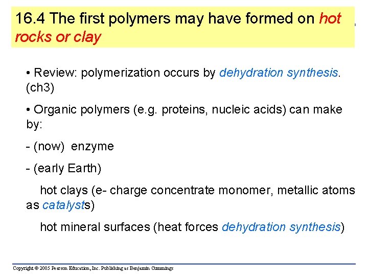 16. 4 The first polymers may have formed on hot rocks or clay •