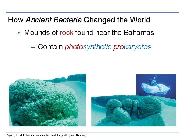 How Ancient Bacteria Changed the World • Mounds of rock found near the Bahamas