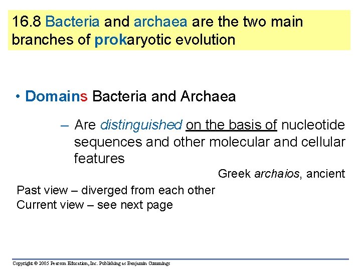 16. 8 Bacteria and archaea are the two main branches of prokaryotic evolution •