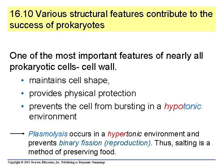 16. 10 Various structural features contribute to the success of prokaryotes One of the