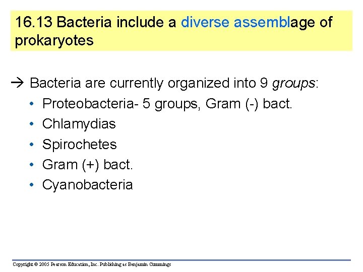 16. 13 Bacteria include a diverse assemblage of prokaryotes Bacteria are currently organized into