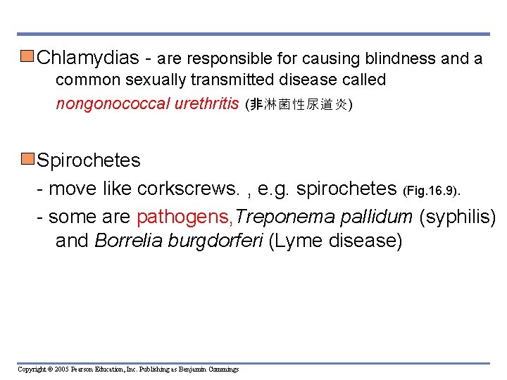 Chlamydias - are responsible for causing blindness and a common sexually transmitted disease called