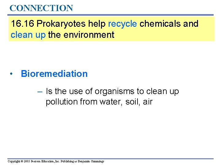 CONNECTION 16. 16 Prokaryotes help recycle chemicals and clean up the environment • Bioremediation