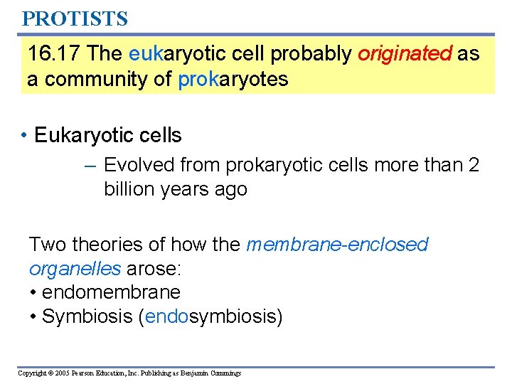 PROTISTS 16. 17 The eukaryotic cell probably originated as a community of prokaryotes •