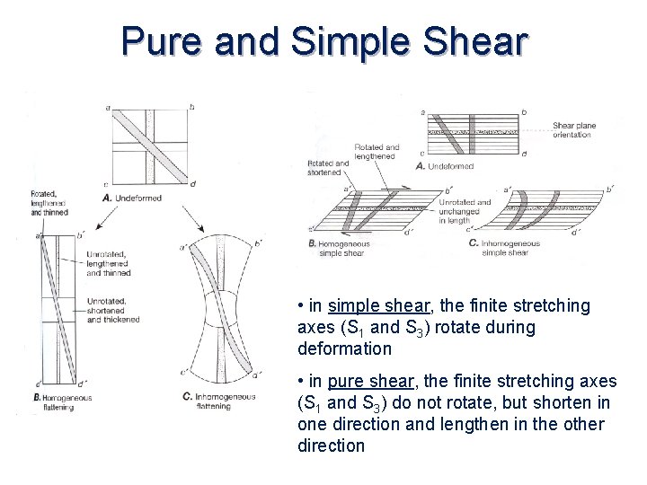 Pure and Simple Shear • in simple shear, the finite stretching axes (S 1