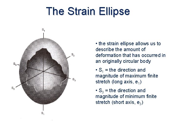 The Strain Ellipse • the strain ellipse allows us to describe the amount of