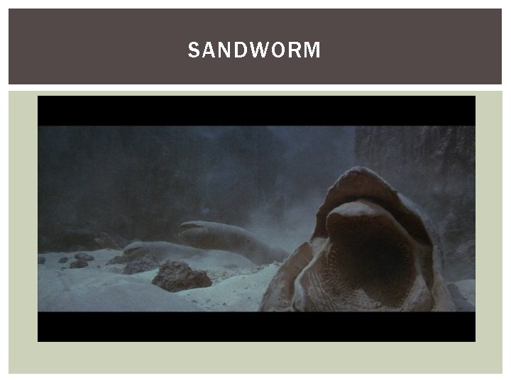 SANDWORM 