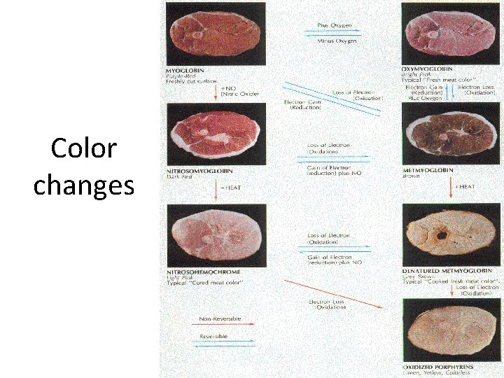 Color changes 