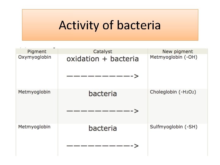 Activity of bacteria 