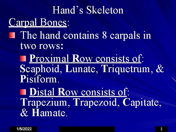 Hand’s Skeleton Carpal Bones: The hand contains 8 carpals in two rows: Proximal Row