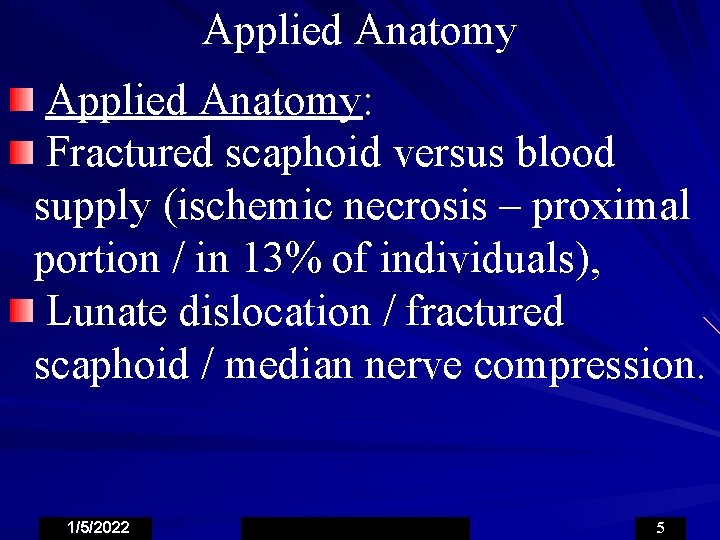Applied Anatomy: Fractured scaphoid versus blood supply (ischemic necrosis – proximal portion / in