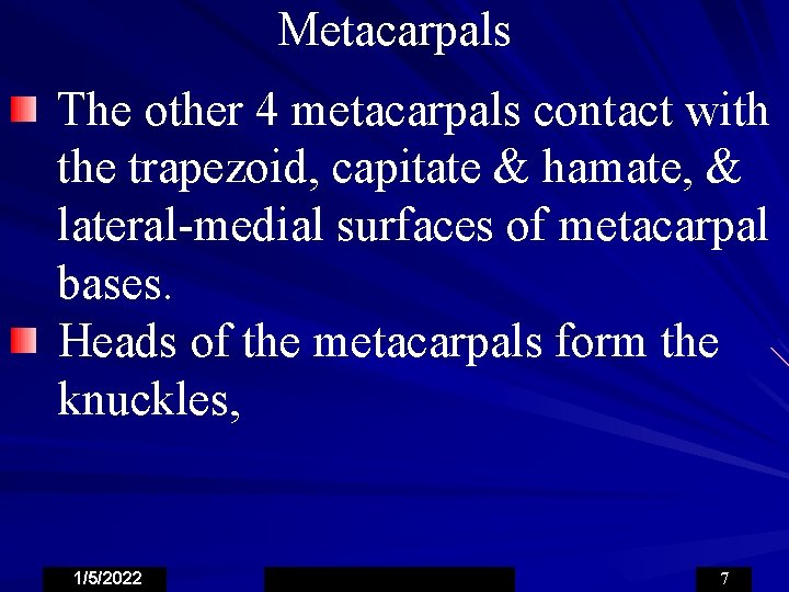 Metacarpals The other 4 metacarpals contact with the trapezoid, capitate & hamate, & lateral-medial