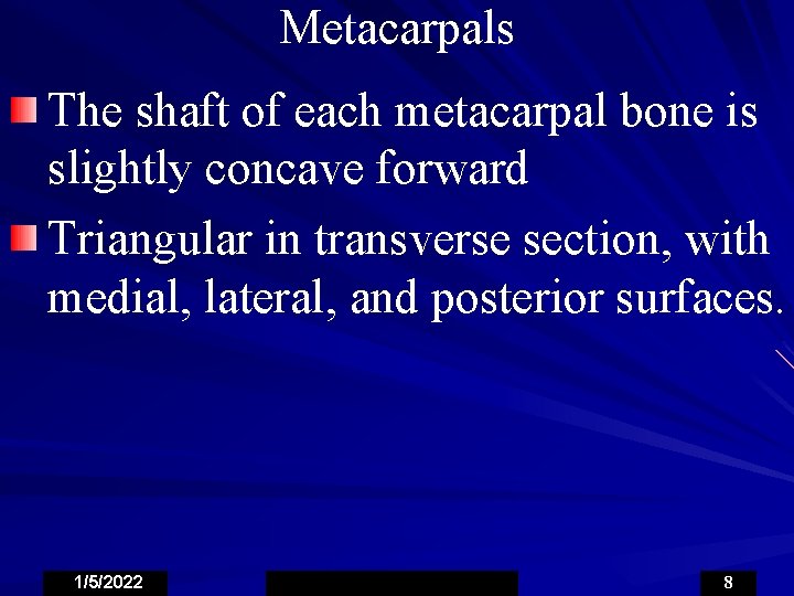 Metacarpals The shaft of each metacarpal bone is slightly concave forward Triangular in transverse