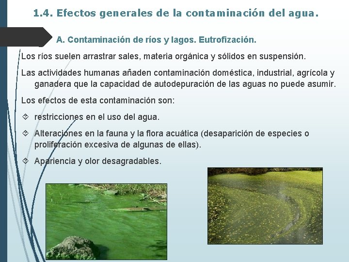 1. 4. Efectos generales de la contaminación del agua. A. Contaminación de ríos y