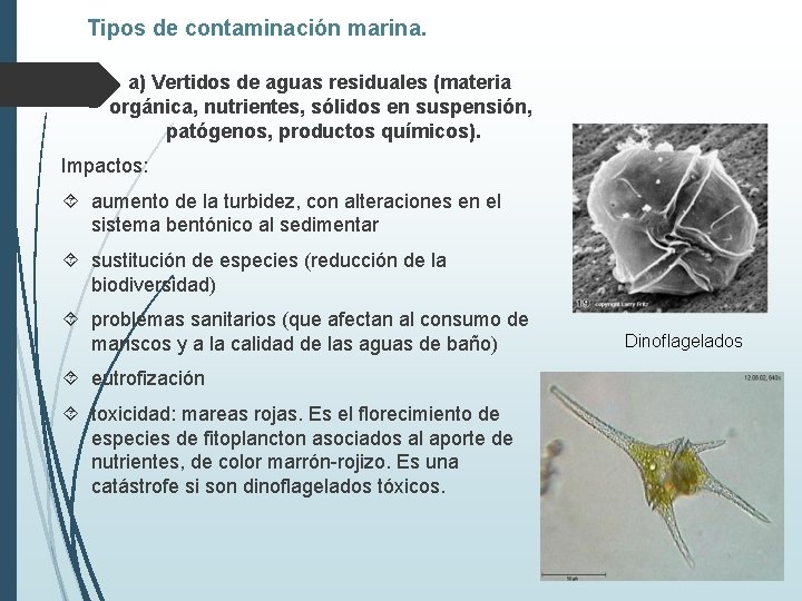 Tipos de contaminación marina. a) Vertidos de aguas residuales (materia orgánica, nutrientes, sólidos en