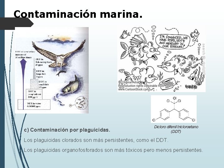 Contaminación marina. c) Contaminación por plaguicidas. Dicloro difenil tricloroetano (DDT) Los plaguicidas clorados son
