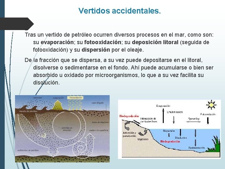 Vertidos accidentales. Tras un vertido de petróleo ocurren diversos procesos en el mar, como