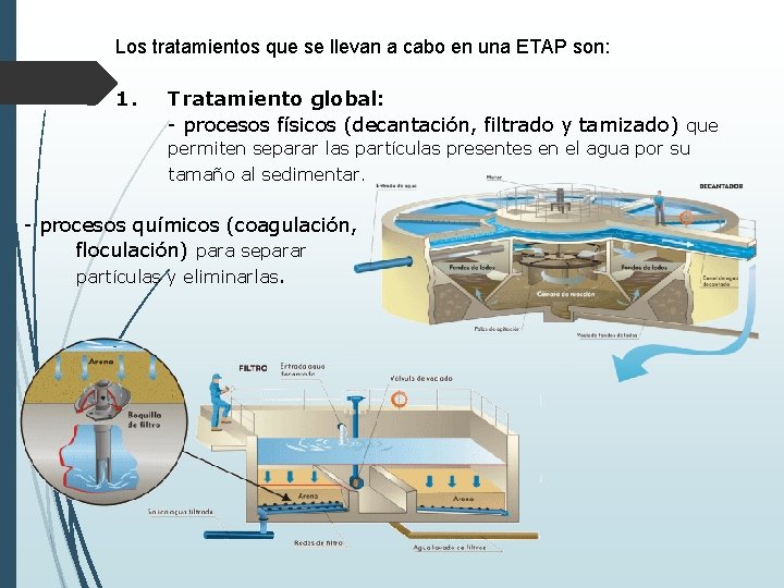 Los tratamientos que se llevan a cabo en una ETAP son: 1. Tratamiento global: