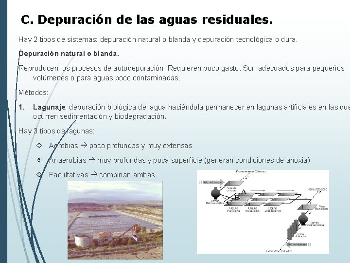 C. Depuración de las aguas residuales. Hay 2 tipos de sistemas: depuración natural o