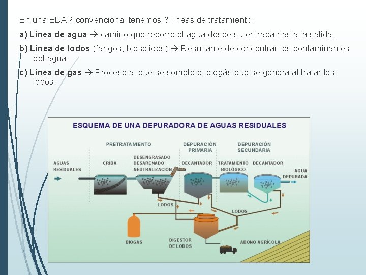 En una EDAR convencional tenemos 3 líneas de tratamiento: a) Línea de agua camino