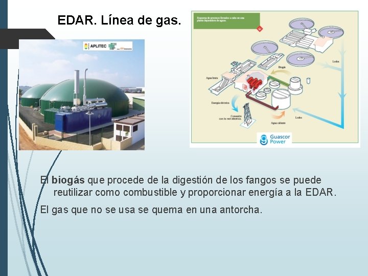 EDAR. Línea de gas. El biogás que procede de la digestión de los fangos