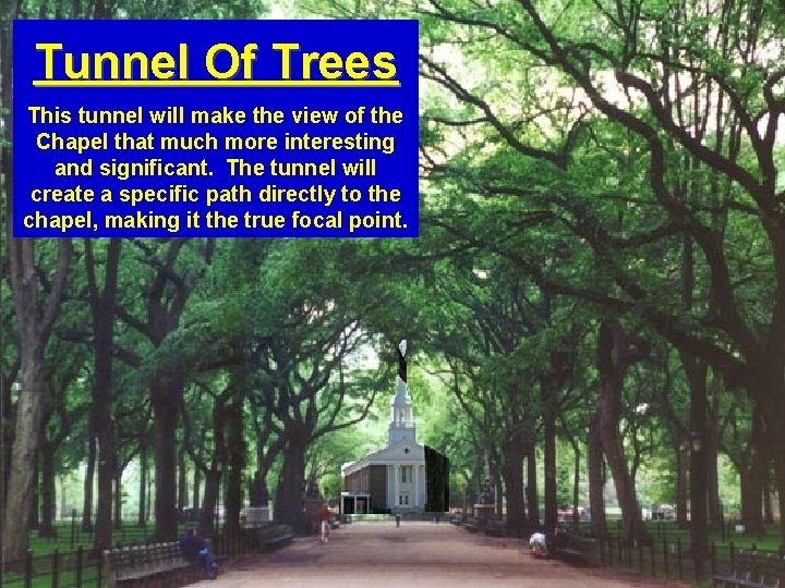 Tunnel Of Trees This tunnel will make the view of the Chapel that much